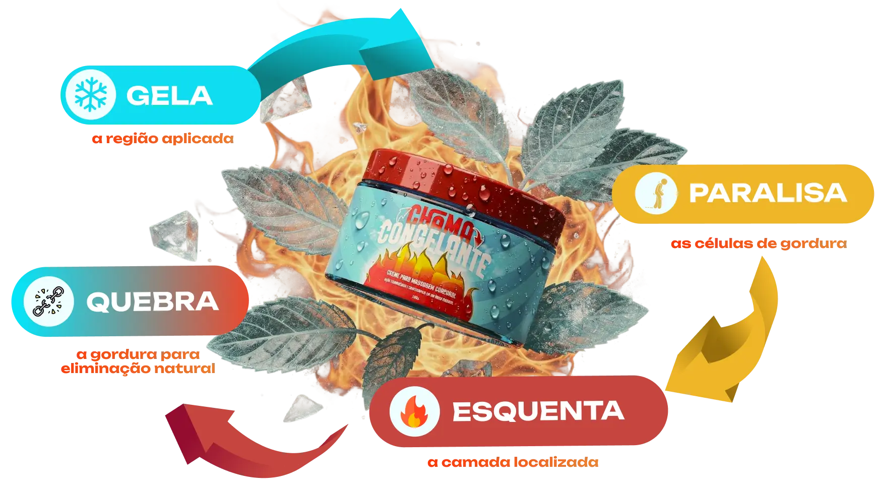 Como funciona o CryoThermo Complex™